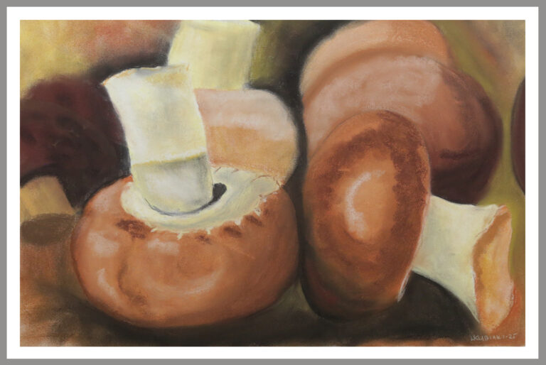 Champignons 768x514