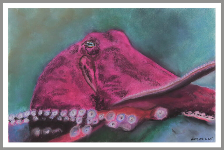 Octopus 768x514