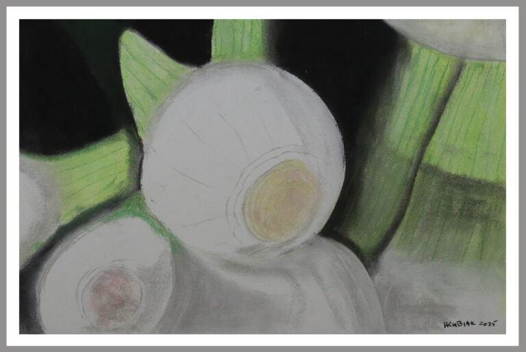 Onions 768x514