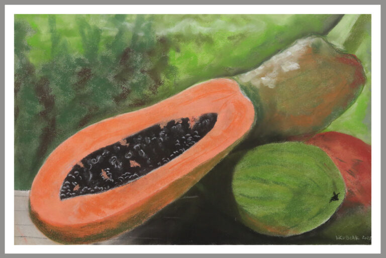 Papaya 3 768x514