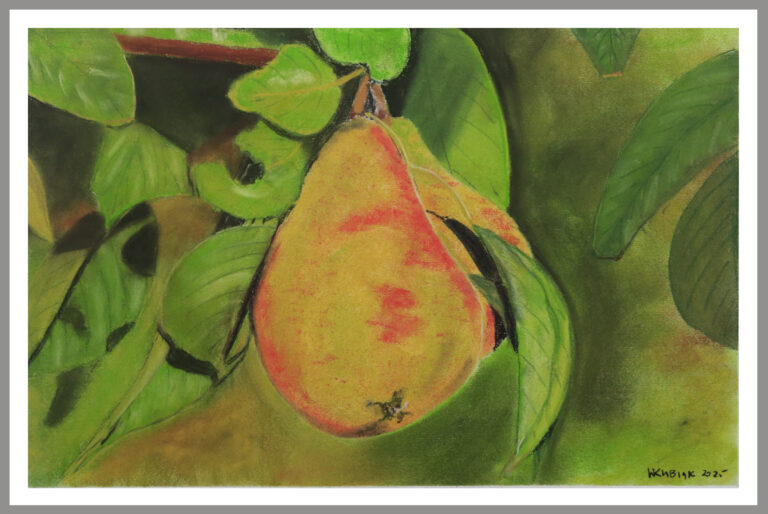 Pear 768x514