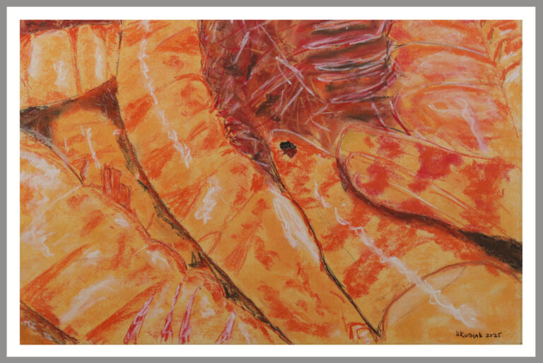 Prawns 768x514